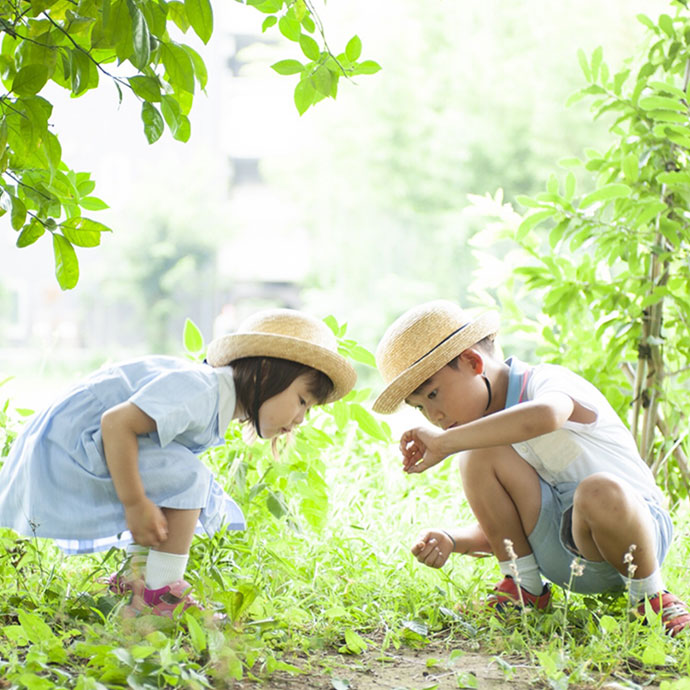 自然とのふれあい